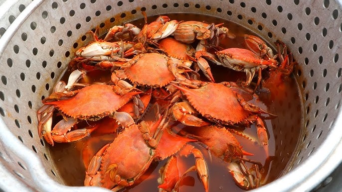 eic blue crab