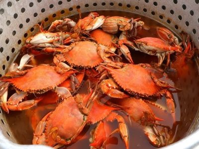 eic-blue-crab